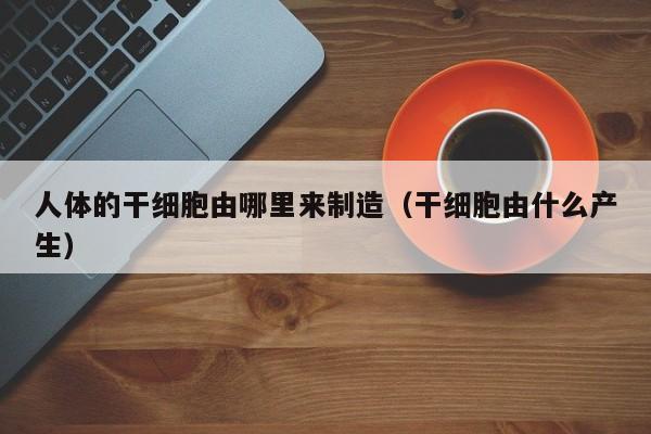 人体的干细胞由哪里来制造（干细胞由什么产生）