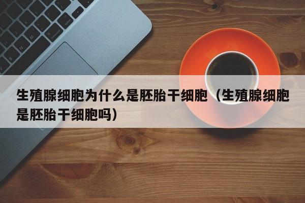 生殖腺细胞为什么是胚胎干细胞（生殖腺细胞是胚胎干细胞吗）