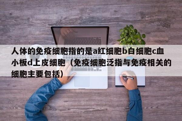 人体的免疫细胞指的是a红细胞b白细胞c血小板d上皮细胞（免疫细胞泛指与免疫相关的细胞主要包括）