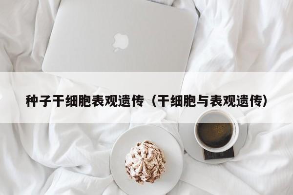 种子干细胞表观遗传（干细胞与表观遗传）