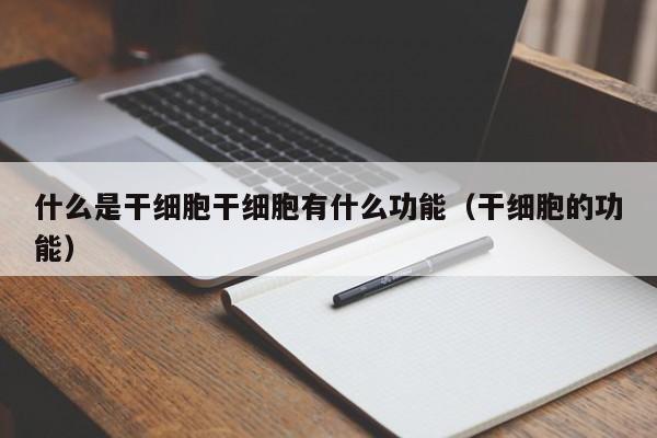 什么是干细胞干细胞有什么功能（干细胞的功能）