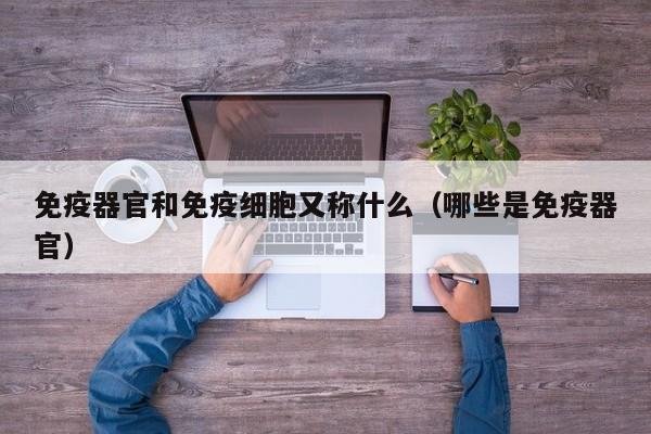 免疫器官和免疫细胞又称什么（哪些是免疫器官）