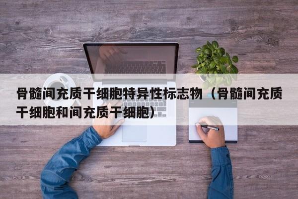 骨髓间充质干细胞特异性标志物（骨髓间充质干细胞和间充质干细胞）