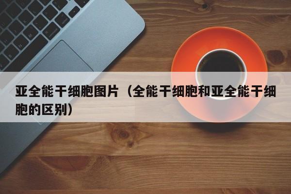 亚全能干细胞图片（全能干细胞和亚全能干细胞的区别）
