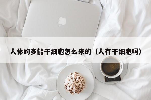 人体的多能干细胞怎么来的（人有干细胞吗）