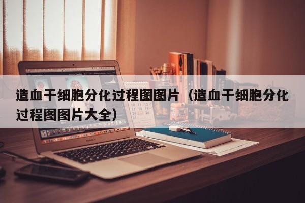 造血干细胞分化过程图图片（造血干细胞分化过程图图片大全）