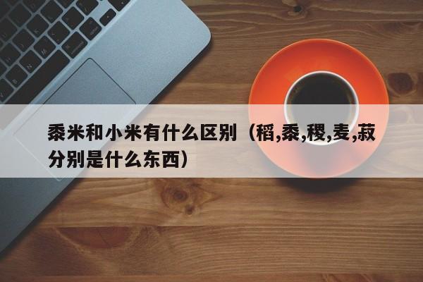 黍米和小米有什么区别（稻,黍,稷,麦,菽分别是什么东西）