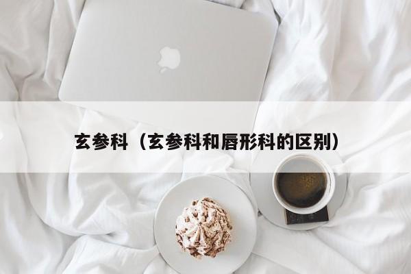 玄参科（玄参科和唇形科的区别）