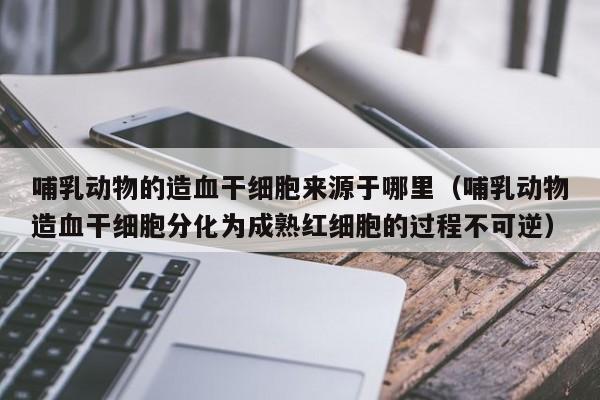 哺乳动物的造血干细胞来源于哪里（哺乳动物造血干细胞分化为成熟红细胞的过程不可逆）