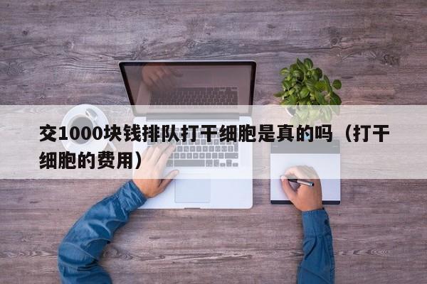 交1000块钱排队打干细胞是真的吗（打干细胞的费用）