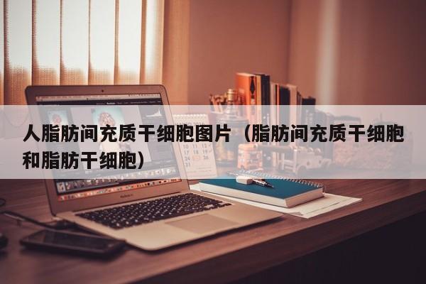人脂肪间充质干细胞图片（脂肪间充质干细胞和脂肪干细胞）
