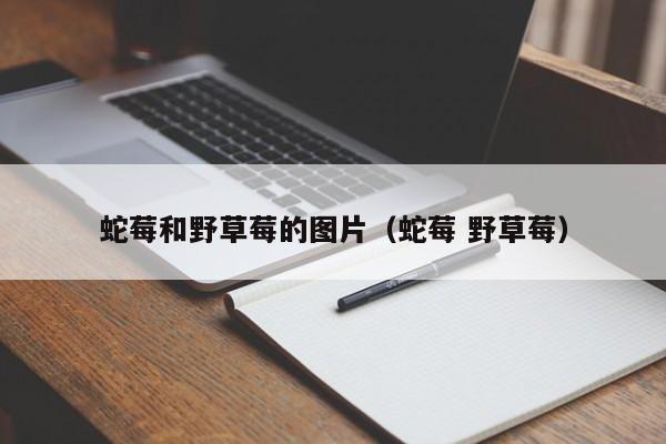 蛇莓和野草莓的图片（蛇莓 野草莓）