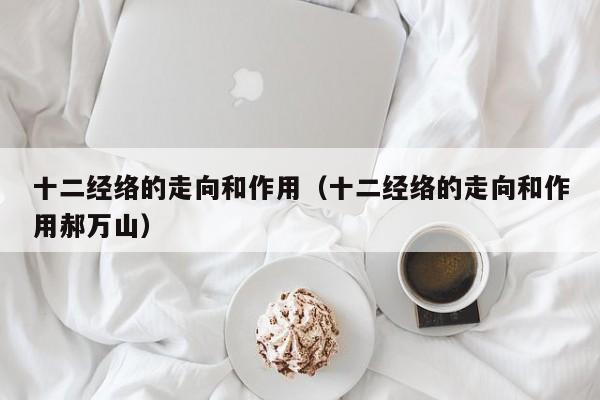 十二经络的走向和作用（十二经络的走向和作用郝万山）