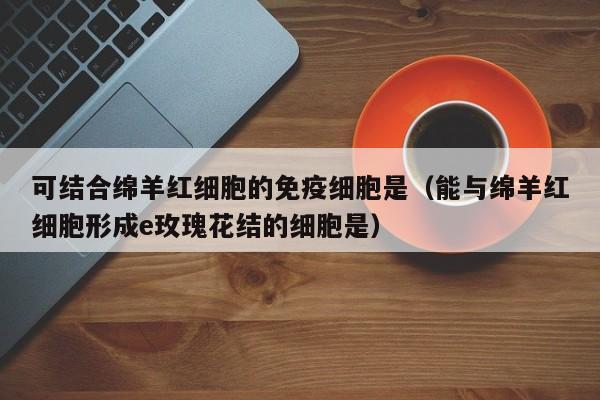 可结合绵羊红细胞的免疫细胞是（能与绵羊红细胞形成e玫瑰花结的细胞是）