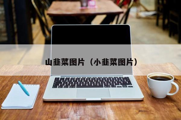 山韭菜图片（小韭菜图片）