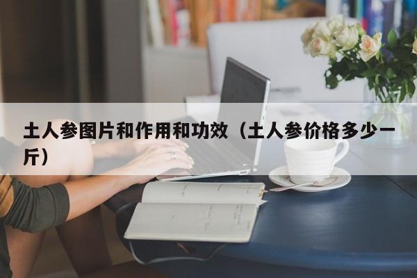 土人参图片和作用和功效（土人参价格多少一斤）