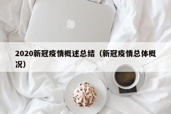 2020新冠疫情概述总结（新冠疫情总体概况）