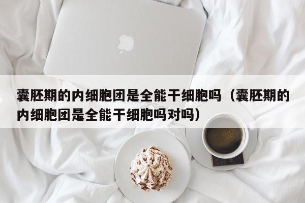 囊胚期的内细胞团是全能干细胞吗（囊胚期的内细胞团是全能干细胞吗对吗）