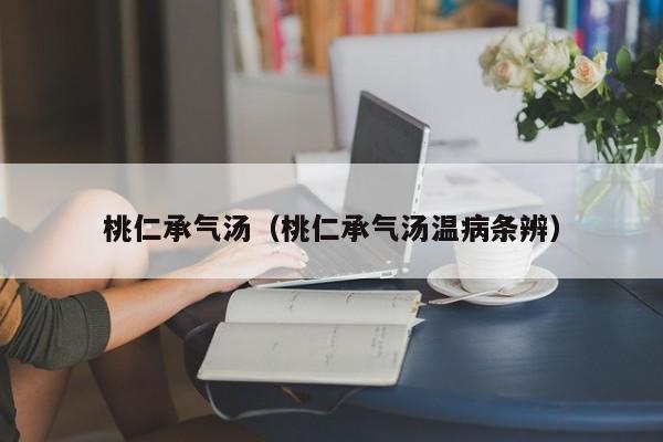 桃仁承气汤（桃仁承气汤温病条辨）