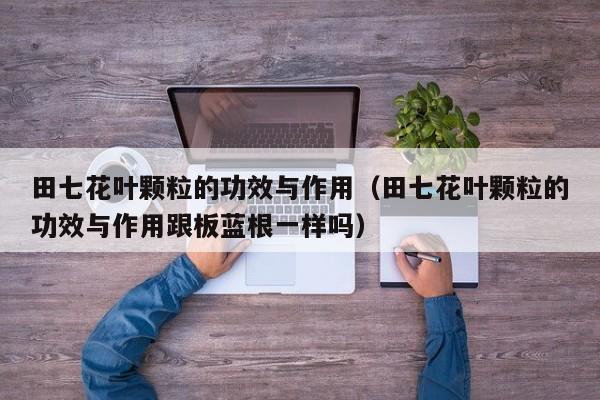 田七花叶颗粒的功效与作用（田七花叶颗粒的功效与作用跟板蓝根一样吗）