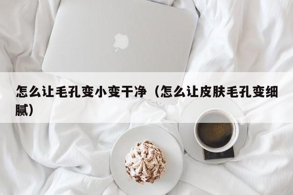 怎么让毛孔变小变干净（怎么让皮肤毛孔变细腻）