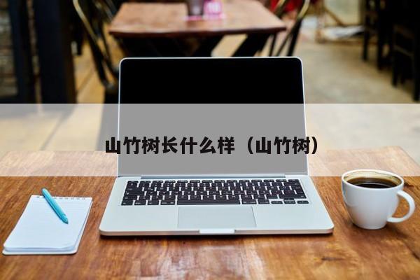 山竹树长什么样（山竹树）