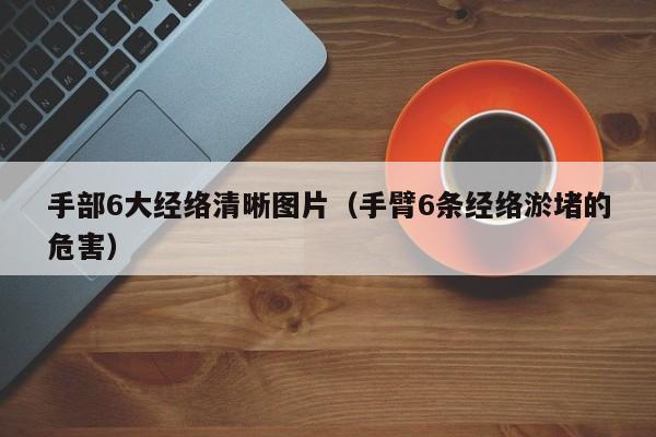 手部6大经络清晰图片（手臂6条经络淤堵的危害）
