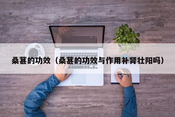 桑葚的功效（桑葚的功效与作用补肾壮阳吗）