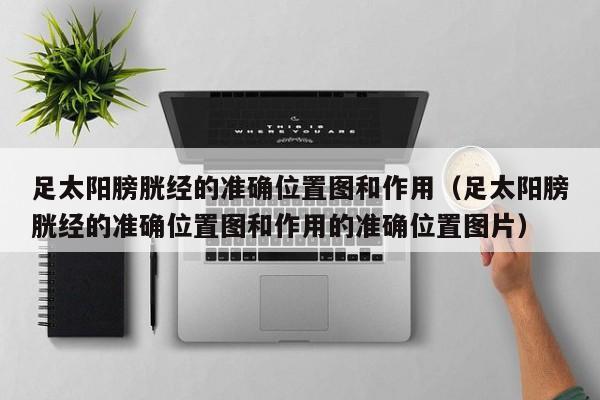 足太阳膀胱经的准确位置图和作用（足太阳膀胱经的准确位置图和作用的准确位置图片）