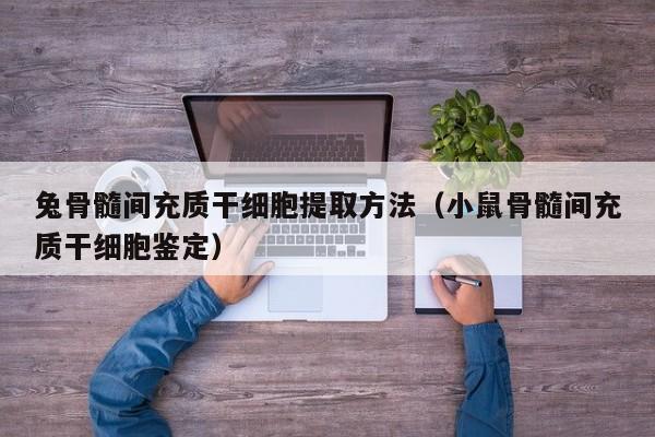 兔骨髓间充质干细胞提取方法（小鼠骨髓间充质干细胞鉴定）
