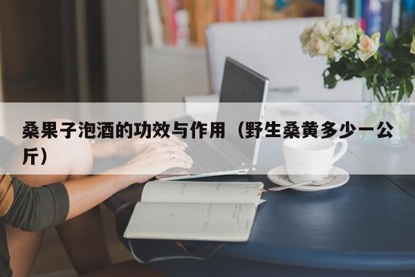 桑果子泡酒的功效与作用（野生桑黄多少一公斤）
