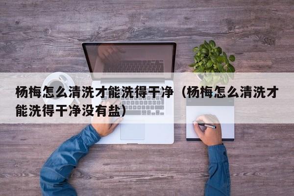 杨梅怎么清洗才能洗得干净（杨梅怎么清洗才能洗得干净没有盐）
