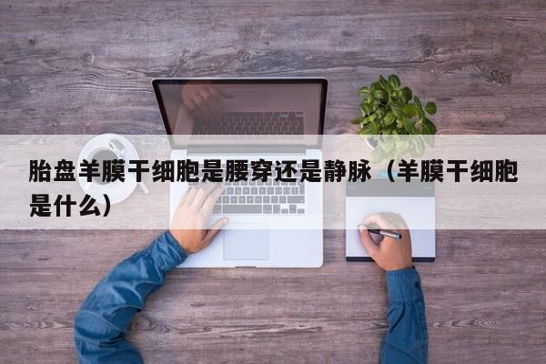 胎盘羊膜干细胞是腰穿还是静脉（羊膜干细胞是什么）