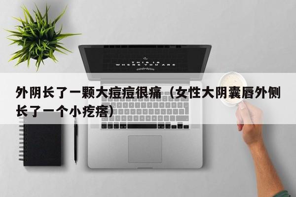 外阴长了一颗大痘痘很痛（女性大阴囊唇外侧长了一个小疙瘩）