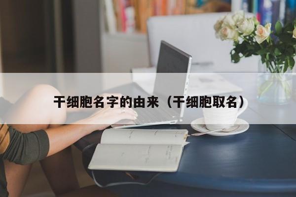 干细胞名字的由来（干细胞取名）
