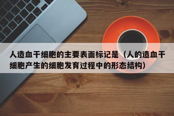 人造血干细胞的主要表面标记是（人的造血干细胞产生的细胞发育过程中的形态结构）