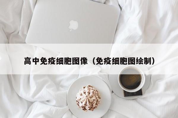 高中免疫细胞图像（免疫细胞图绘制）