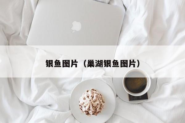银鱼图片（巢湖银鱼图片）