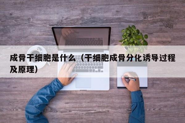 成骨干细胞是什么（干细胞成骨分化诱导过程及原理）
