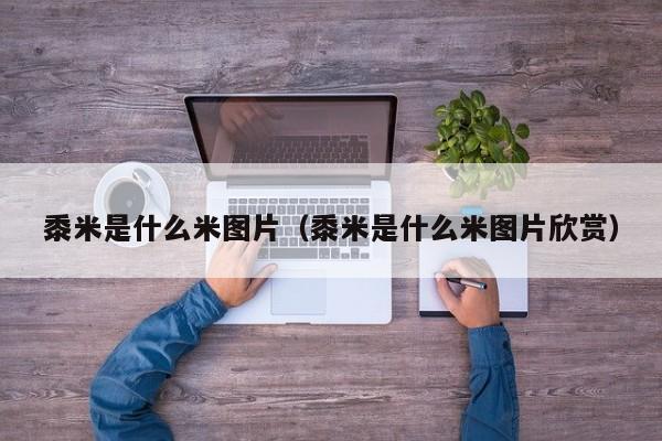 黍米是什么米图片（黍米是什么米图片欣赏）