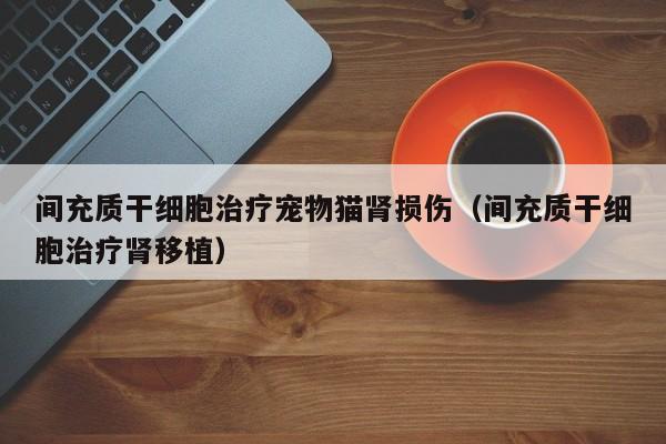 间充质干细胞治疗宠物猫肾损伤（间充质干细胞治疗肾移植）