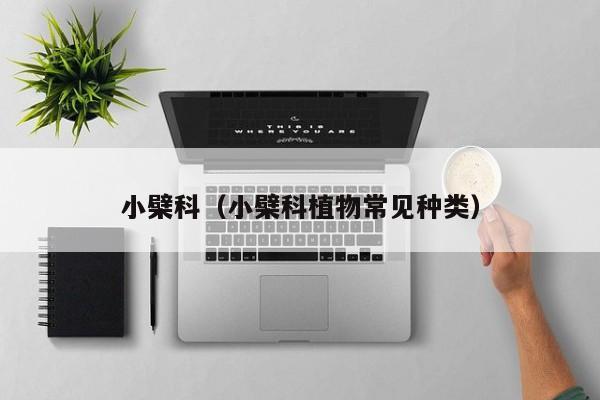 小檗科（小檗科植物常见种类）