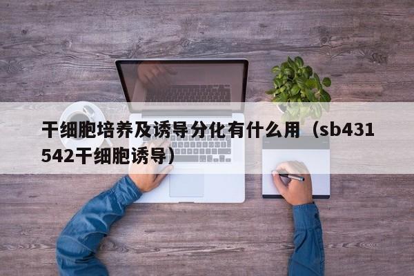 干细胞培养及诱导分化有什么用（sb431542干细胞诱导）