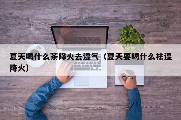 夏天喝什么茶降火去湿气（夏天要喝什么祛湿降火）