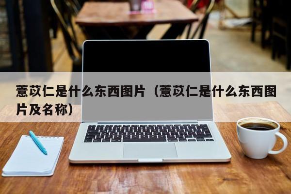薏苡仁是什么东西图片（薏苡仁是什么东西图片及名称）
