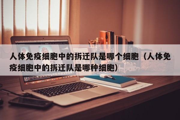 人体免疫细胞中的拆迁队是哪个细胞（人体免疫细胞中的拆迁队是哪种细胞）