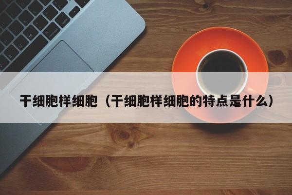 干细胞样细胞（干细胞样细胞的特点是什么）