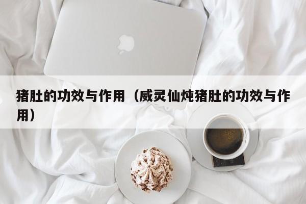 猪肚的功效与作用（威灵仙炖猪肚的功效与作用）