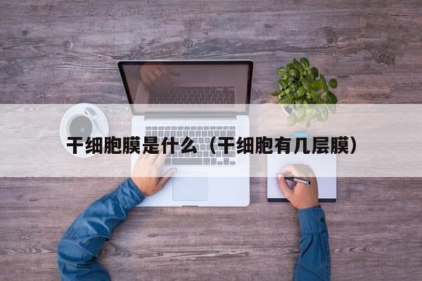 干细胞膜是什么（干细胞有几层膜）