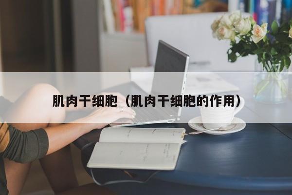 肌肉干细胞（肌肉干细胞的作用）